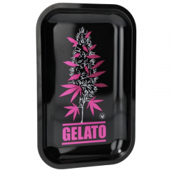 Plateau Gelato - Taille M