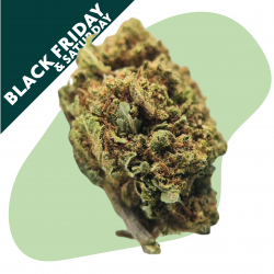 Deep Candy - Fleurs CBD