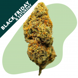 Lemon Kush - Fleur CBD