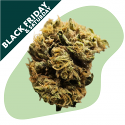 Lemon Ice CBG - Fleur CBD