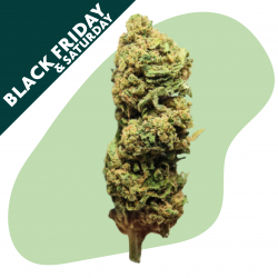 Tropicake - Fleur CBD