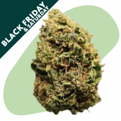 Cookie Scoot - Fleur CBD