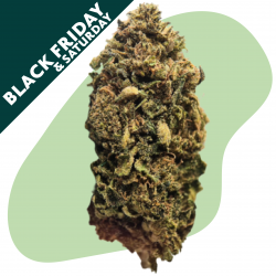 Double Kush - Fleur CBD