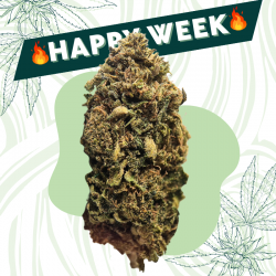 Double Kush - Fleur CBD