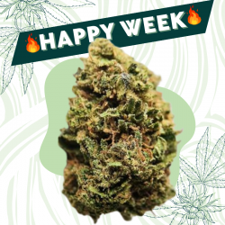 Cookie Scoot - Fleur CBD