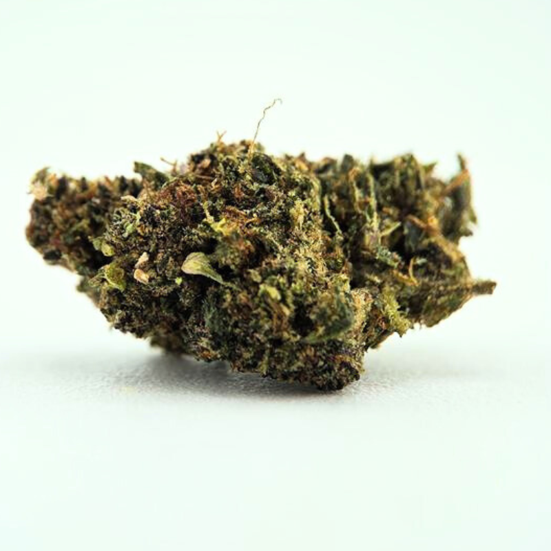 Orange GP - FUZ -  Au Coeur du Chanvre