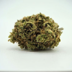 Mistic Blue - Fleur CBD - Au Coeur du Chanvre