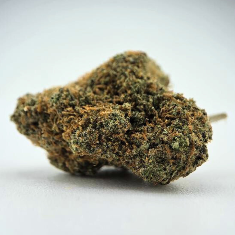 Orange Papaya - Fleur CBD - Au Coeur du Chanvre