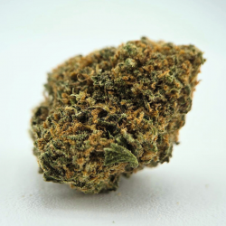 Special One - Fleur CBD - Au Coeur du Chanvre