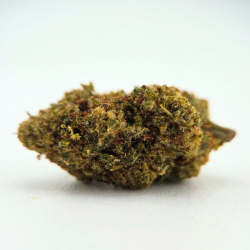 Dos Si Dos - FUZ -  Au Coeur du Chanvre