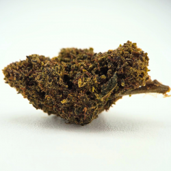 Strawberry - FUZ -  Au Coeur du Chanvre