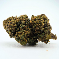 Guava - FUZ -  Au Coeur du Chanvre