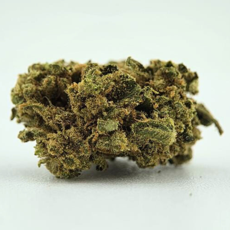 Mandarine - Fleurs CBD - Au Coeur du Chanvre