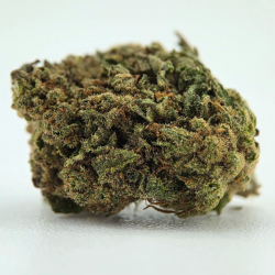 Lemon Cheese - Fleurs CBD - Au Coeur du Chanvre