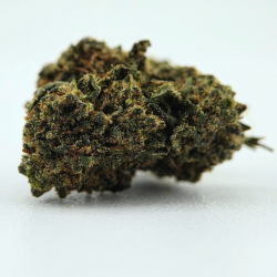 Candy Kush CBC - FUZ -  Au Coeur du Chanvre