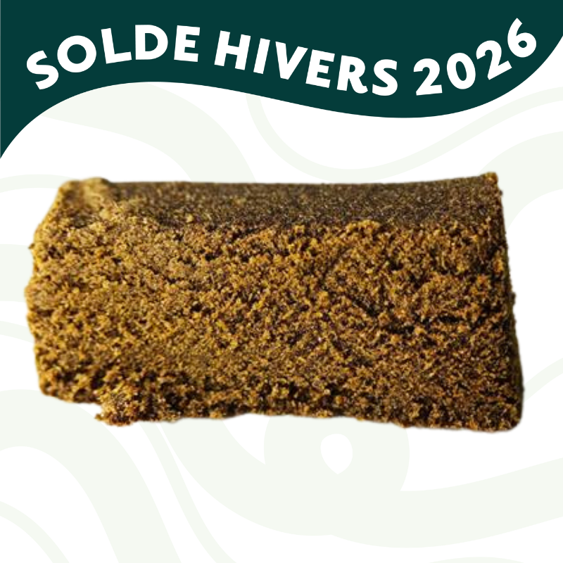 HoneyHash GAS - Résine CBD - Au Coeur du Chanvre