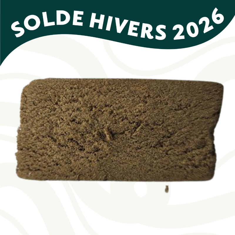 Marocain - CBD - Boutique CBD Strasbourg - Au coeur du chanvre