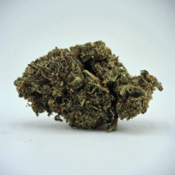 Lemon Cookie STV - FUZ -  Au Coeur du Chanvre