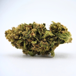 Tropicake V2 - Fleur CBD Alsacienne - Boutique CBD à Strasbourg - Au coeur du chanvre