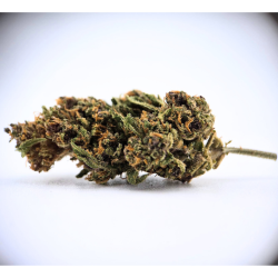 Alpen Fruit - Fleur CBD Alsacienne - Boutique CBD à Strasbourg - Au coeur du chanvre