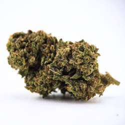 Super Skunk STV - FUZ -  Au Coeur du Chanvre