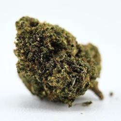 Dos Si Do STV - FUZ -  Au Coeur du Chanvre