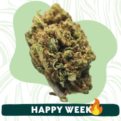 Deep Candy - Fleurs CBD - Au Coeur du Chanvre