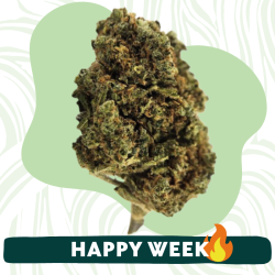 Lemon Cherry - Fleur CBD - Au Coeur du Chanvre