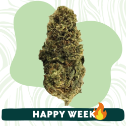 Lemon Pop - Fleur CBD - Au Coeur du Chanvre