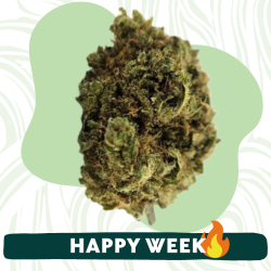 Mistic Blue - Fleur CBD - Au Coeur du Chanvre