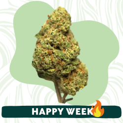 Skunk - Fleurs CBD - Au Coeur du Chanvre