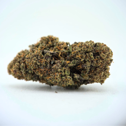 Black Mango Pepper - Fleur CBD - Au Coeur du Chanvre