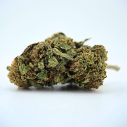 Tropical Ghost - Fleur CBD - Au Coeur du Chanvre