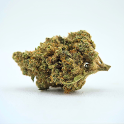 Small Amnesia - Fleur CBD - Au Coeur du Chanvre