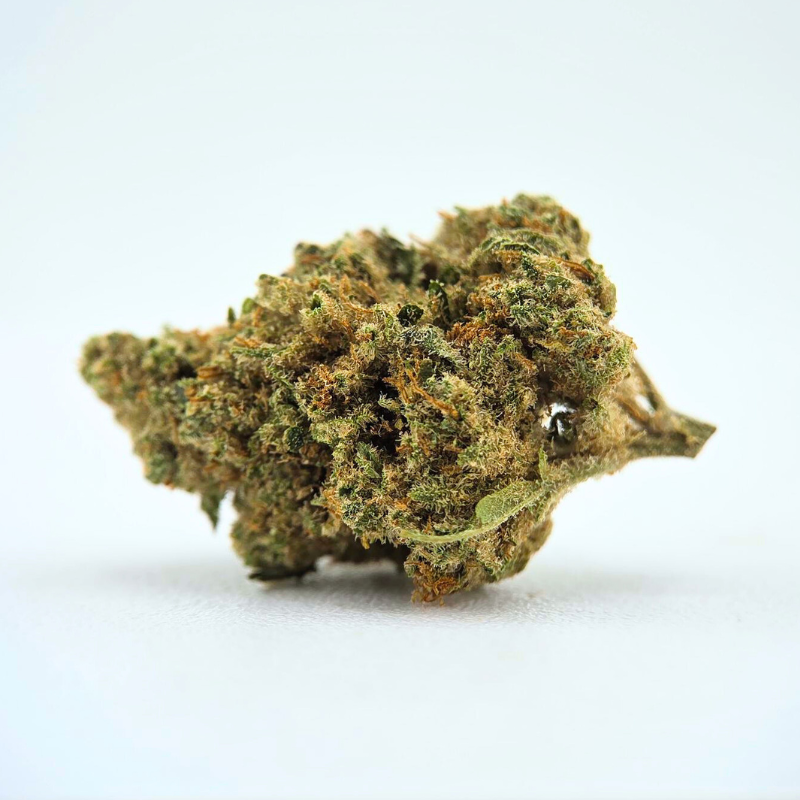 Small Amnesia - Fleur CBD - Au Coeur du Chanvre