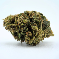 Gelato Lemon CBC - FUZ -  Au Coeur du Chanvre