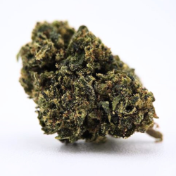 Gorilla Glue BZ - FUZ -  Au Coeur du Chanvre