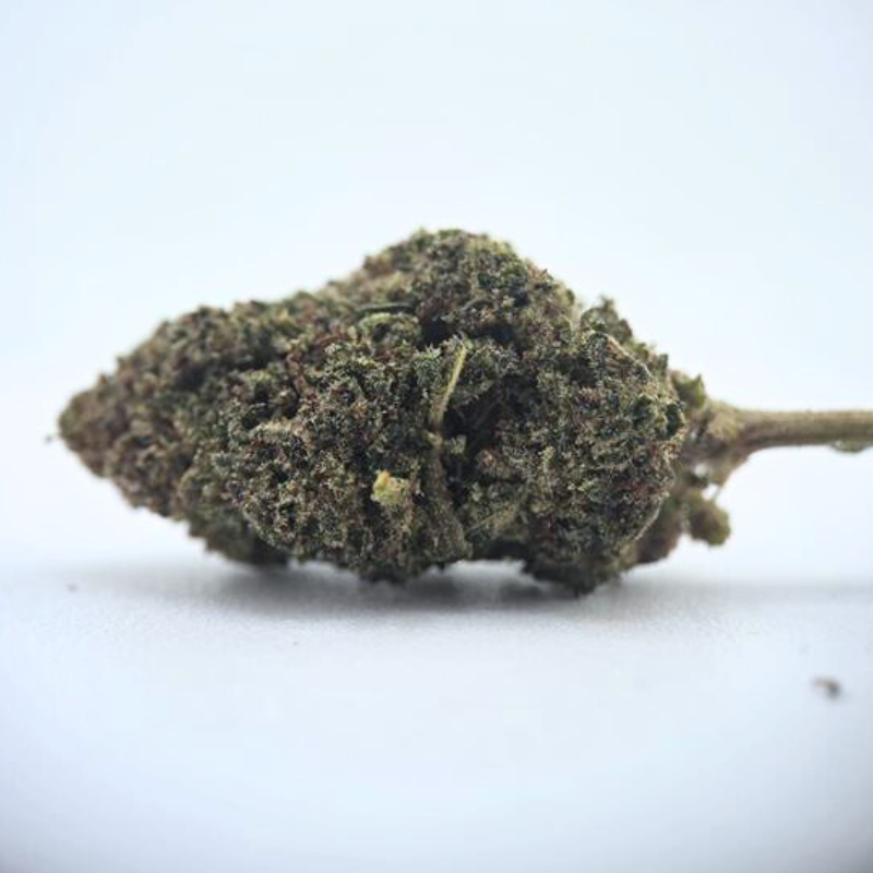 Gelato 91 STV - FUZ -  Au Coeur du Chanvre