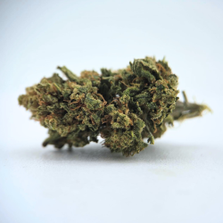 Cherry Pie - Fleurs CBD - Au Coeur du Chanvre