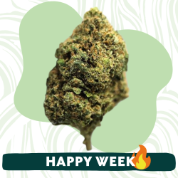 Plush Berry - Fleur CBD - Au Coeur du Chanvre