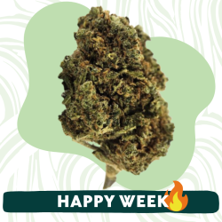 Lemon Cherry - Fleur CBD - Au Coeur du Chanvre