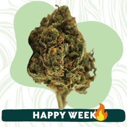 HQ - Fleur CBD - Au Coeur du Chanvre