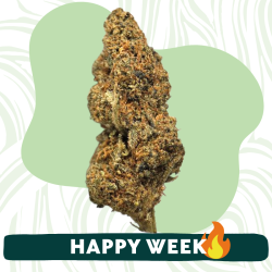 Larry OG - FUZ -  Au Coeur du Chanvre