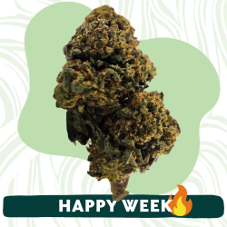 Guava - FUZ -  Au Coeur du Chanvre