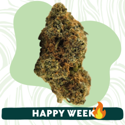 OG Kush - Fleur CBD - Au Coeur du Chanvre