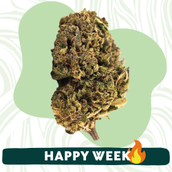 Bubba Kush - Fleur CBD Alsacienne - Boutique CBD à Strasbourg - Au coeur du chanvre