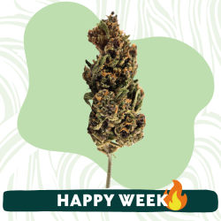 Alpen Fruit - Fleur CBD Alsacienne - Boutique CBD à Strasbourg - Au coeur du chanvre