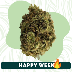 Mistic Blue - Fleur CBD - Au Coeur du Chanvre