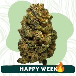 Lemon Pop - Fleur CBD - Au Coeur du Chanvre