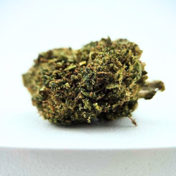 Runtz BZ - FUZ -  Au Coeur du Chanvre